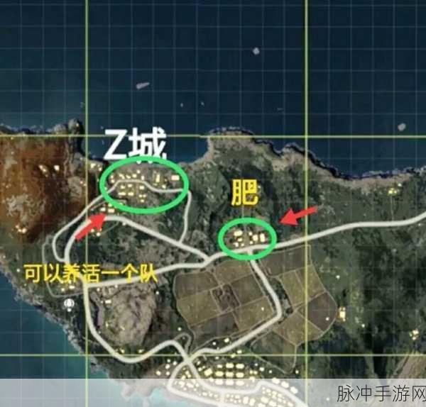 和平精英攻略，揭秘Z城为何成为冷门之选