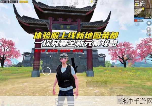 和平精英攻略，揭秘Z城为何成为冷门之选