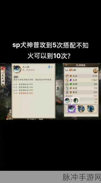 阴阳师新版犬神阵容搭配全攻略