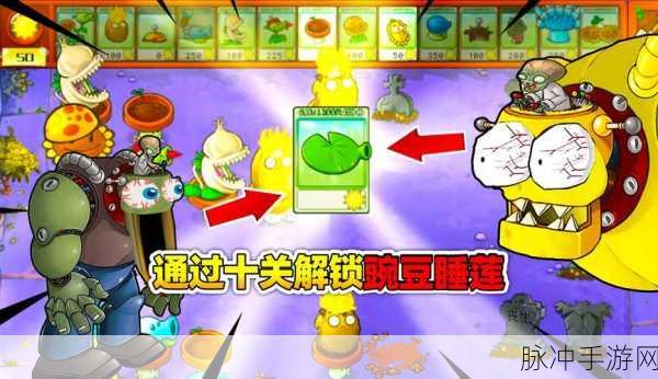 我的世界睡莲全方位攻略，解锁睡莲的多样用途