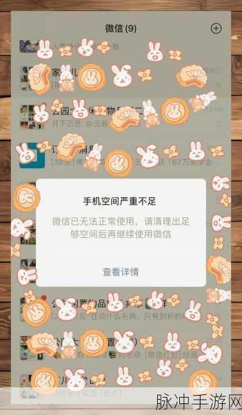 iPhone照片存太多空间不够用？教你高效备份，轻松告别储存烦恼