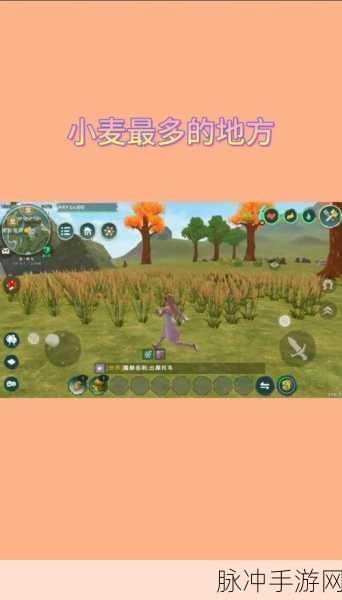 创造与魔法，小麦获取全攻略