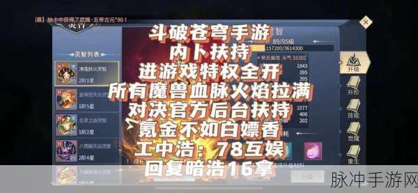 斗破苍穹手游秘籍，深入解析游戏玩法与策略