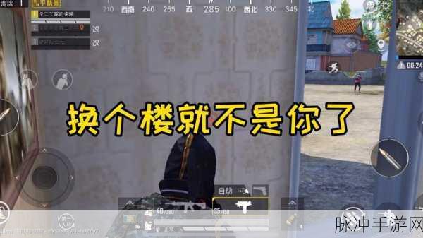 和平精英绿洲世界华科眼镜湖精准位置大揭秘