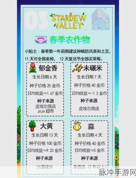 星露谷物语展览会，轻松取胜的秘籍大公开