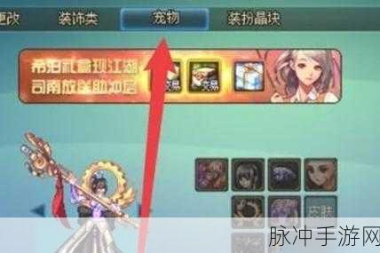DNF 手游，宠物封印胶囊与迷你女鬼剑宠物的封印之谜