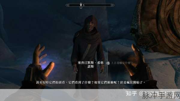 上古卷轴 5 天际特别版，畅玩所需的配置全解析
