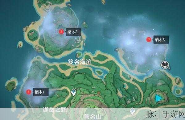 花与剑，执子之手传闻任务全攻略