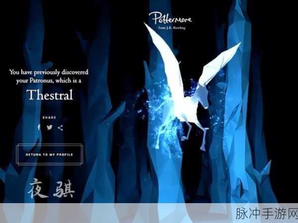 哈利波特魔法觉醒，夜骐驾驭秘籍 技巧全解析