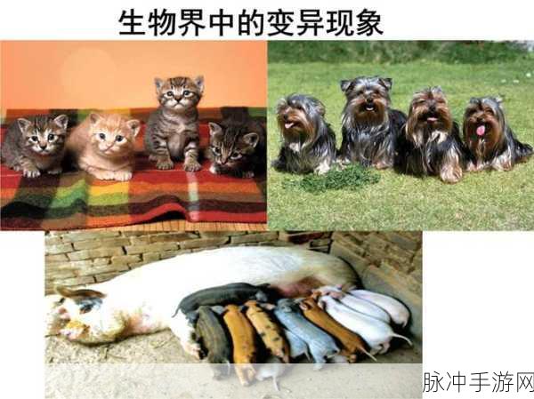 细菌突变，打造梦幻突变生物的休闲游戏攻略