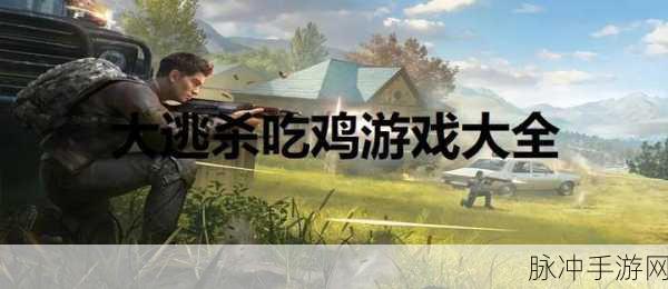 大逃杀法则游戏下载，解锁全新吃鸡体验的深度攻略