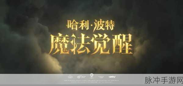哈利波特魔法觉醒，迷惑药剂用法全解析