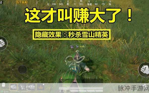 和平精英，2020 端午节清香五月粽皮肤获取全指南
