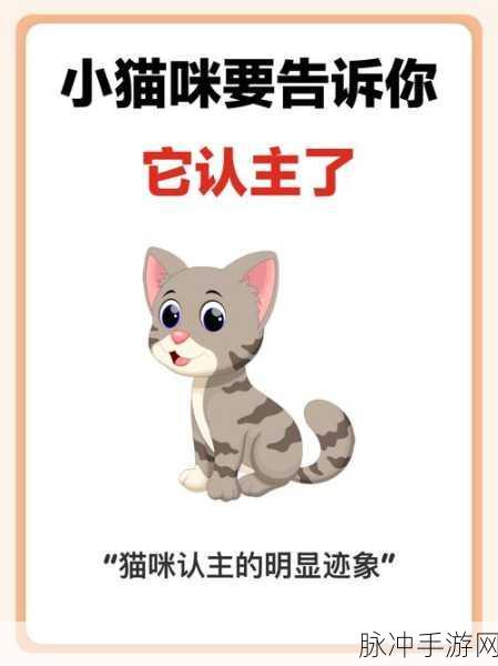 主播与猫咪的温馨日常，主播和猫的故事游戏下载全攻略