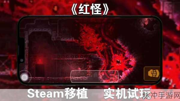 红怪手游最新版下载，像素风潮下的逆转恐怖动作冒险之旅