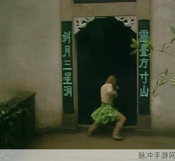 射雕方寸灵台第二章，妙手回春全攻略指南