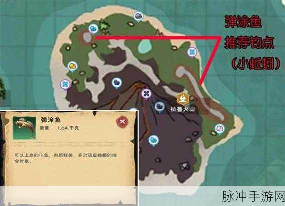 创造与魔法龟壳获取秘籍大公开