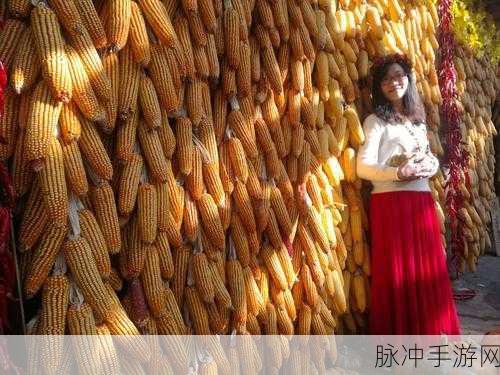 夜雾中的野兽中文版下载，探索童话风弓箭手迷失生存RPG战斗之旅
