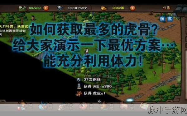 烟雨江湖，虎骨运用秘籍大公开