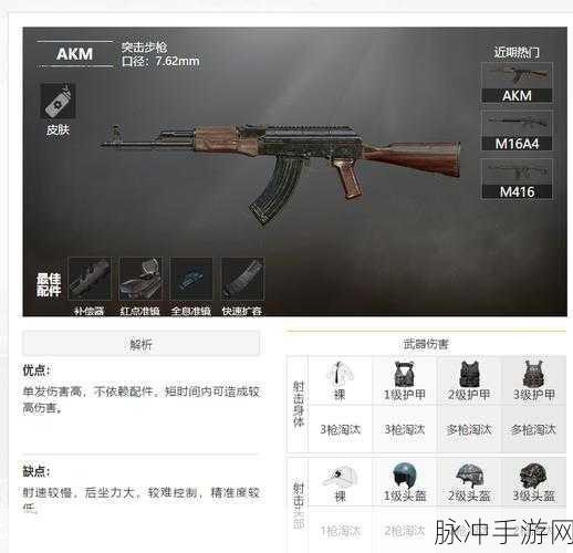2021 和平精英最强伤害武器全解析