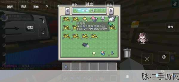 宝可梦大探险闪电鸟宾果选择全攻略