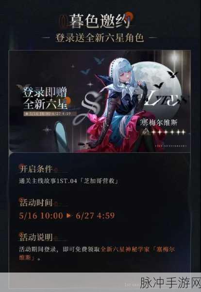 重返未来 1999，不锈钢阵容的深度剖析与培养指南