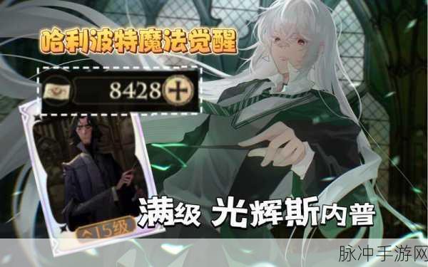 哈利波特魔法觉醒，斯内普谜题通关秘籍