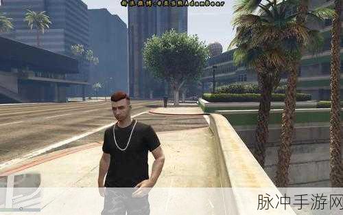 GTA5 线上亚当熊刷钱风波，深度剖析与应对策略