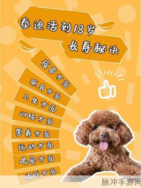 清新答题挑战，探索长寿奥秘 ——你能活到99岁么下载攻略全解析