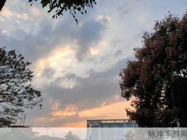自走象棋游戏下载，探索非常不错的全新自走棋策略之旅