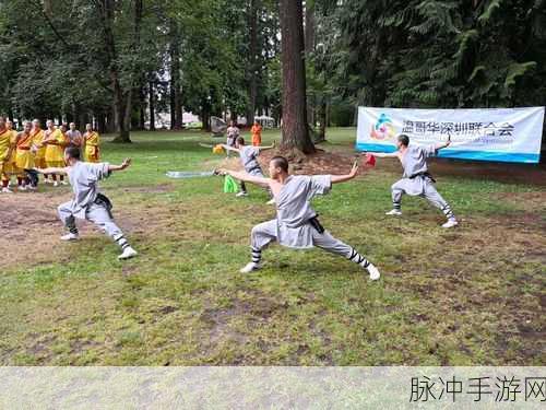 武僧传奇安卓版下载，探索少林寺题材的动作手游新境界