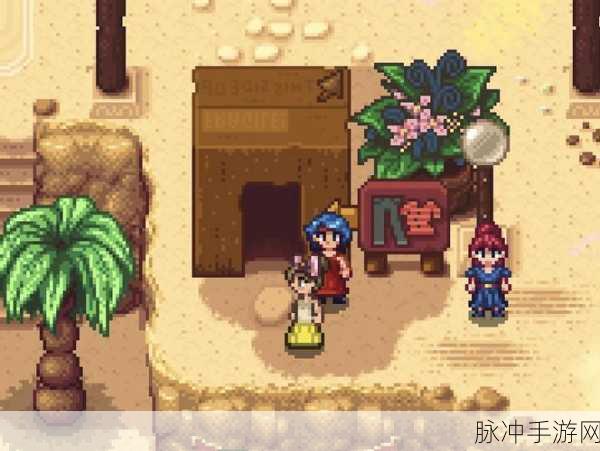 星露谷物语沙漠节全攻略，时间与精彩不容错过