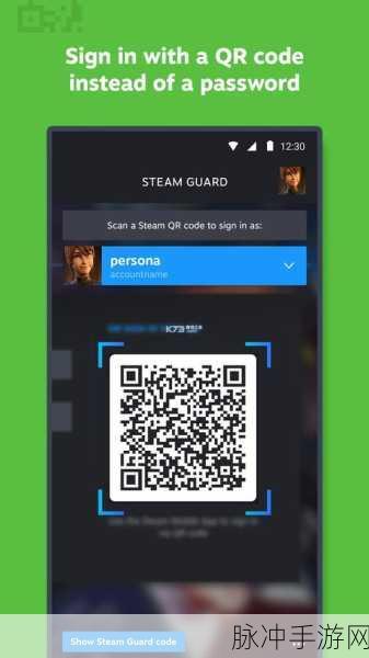 Steam 手机版查看电脑截图快捷键全攻略