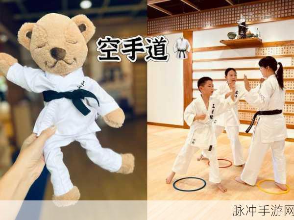 跆拳道女孩安卓版，独特动作格斗闯关之旅