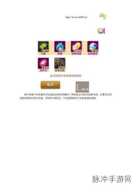 航海王强者之路，打造最强装备搭配秘籍