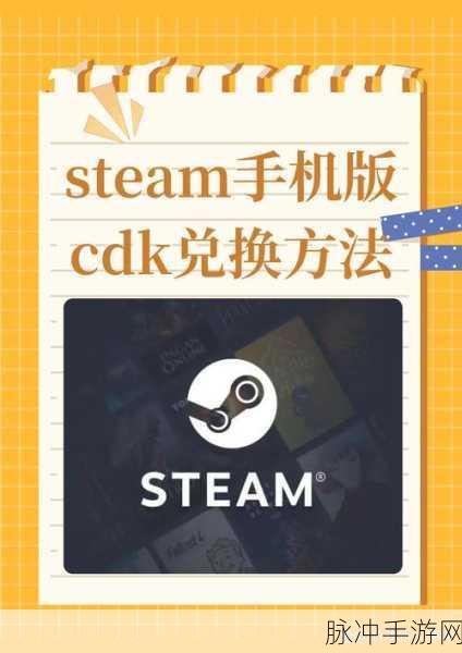 解决手机版 Steam 验证码界面卡顿的实用指南