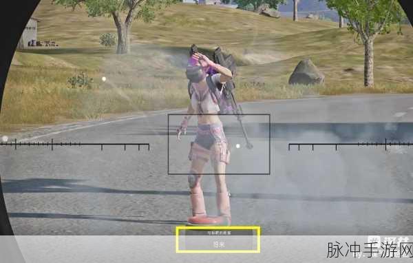 和平精英，震爆弹与闪光弹的深度剖析