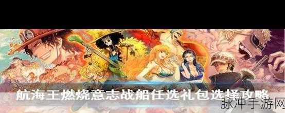 航海王燃烧意志周年庆活动全解析