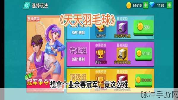 天天羽毛球无广告版下载,畅享纯净体育游戏之旅