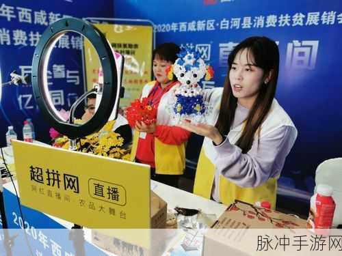 全民拼拼乐手游深度攻略，211小游戏平台的休闲闯关新宠
