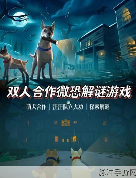 毛骨悚然之旅，全关卡解锁版恐怖解谜冒险游戏深度攻略