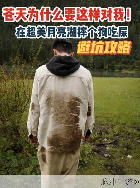 挑战无极限，别让川普碰到那坨屎下载攻略全解析