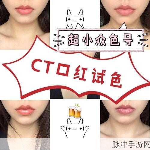 唇彩口红妆容下载，解锁化妆装扮新乐趣的休闲手游攻略