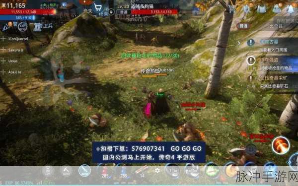 探索无尽魔幻世界，mir4手游下载全攻略