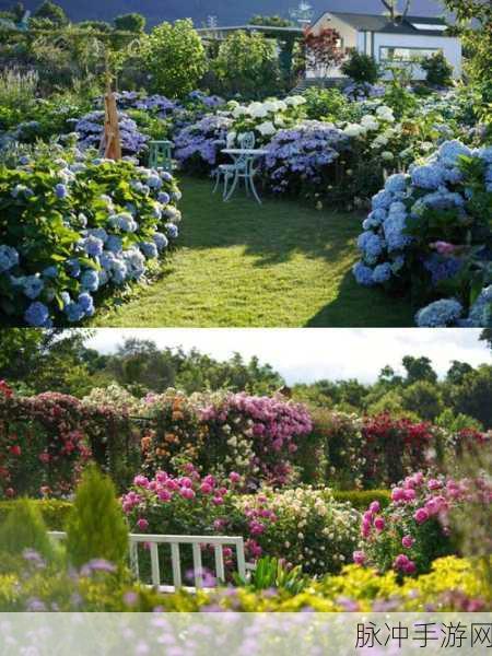 园艺技巧Gardening Mastery，打造你的梦幻花园之旅