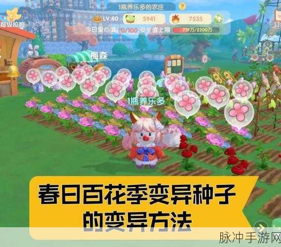 摩尔庄园手游，百合花种子获取与种植等级攻略