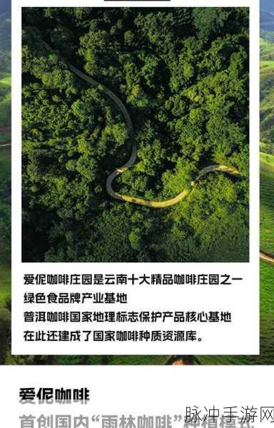 咖啡园厨房天地，无限金币2024版深度攻略与下载指南