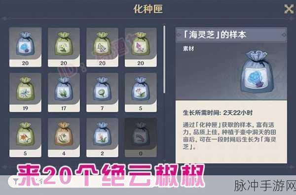 原神家园种植系统与化种匣道具全解析