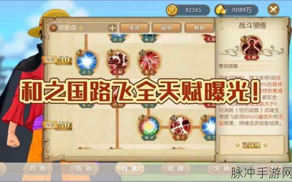 航海王燃烧意志，路飞领衔 乌索普助力的无敌阵容攻略