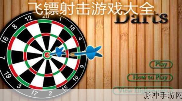 忍者术飞镖射击全攻略，掌握忍者扔飞镖游戏的精髓